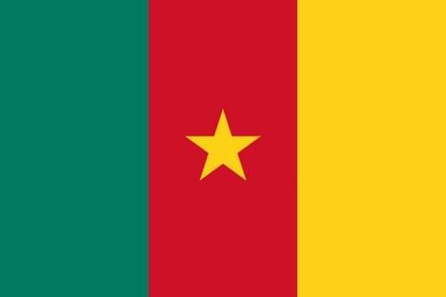 Cameroun.ok.jpg