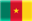 E-Visa Cameroun