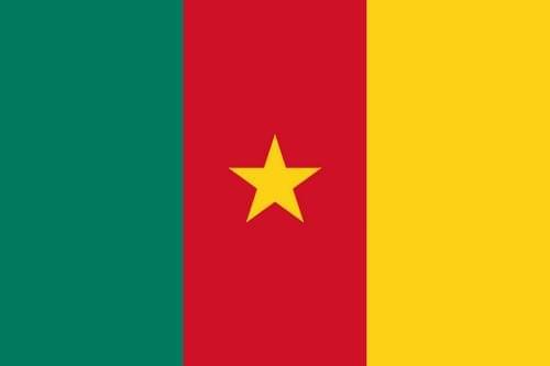 Cameroun.ok.jpg