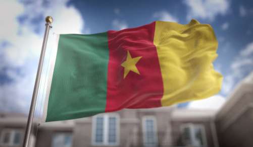 cameroun-drapeau-ambassade.jpg