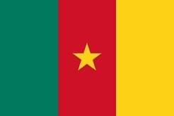cameroun visa
