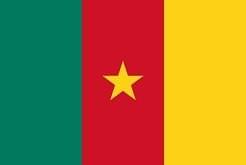 cameroun visa