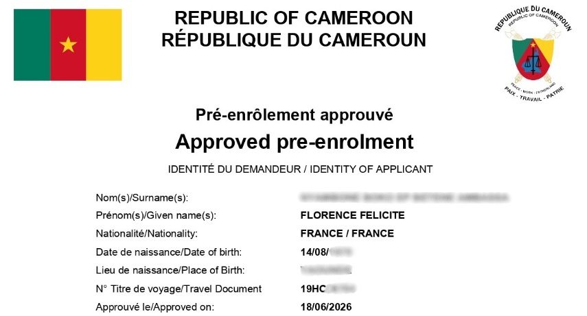 Le E-Visa
