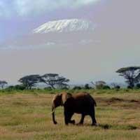 afrique.jpg