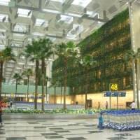 singapour_aeroport.jpg