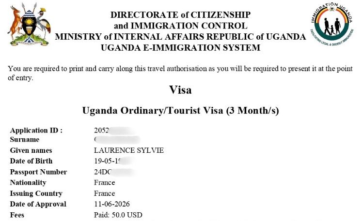 Le E-Visa
