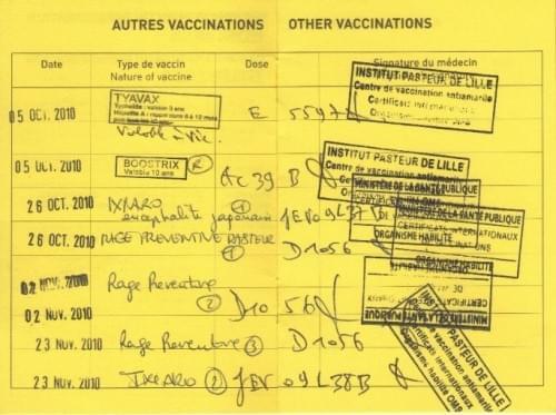 vaccin-thailande