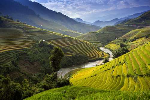 vietnam voyage visa