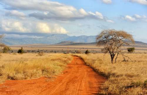 voyage tanzanie